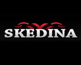 Skedina