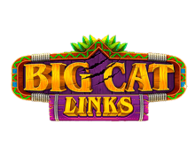 Big Cat Links