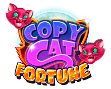 Copy Cat Fortune