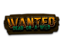 Wanted Dead or a Wild