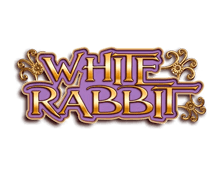 White Rabbit