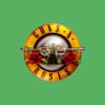 Guns N Roses