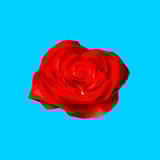 The Ultra Stack Feature Rose