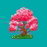 Wild Dragon’s Fortune