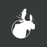 BetMoose