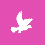 Dove Bingo