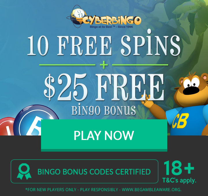 free bonus bingo no deposit required