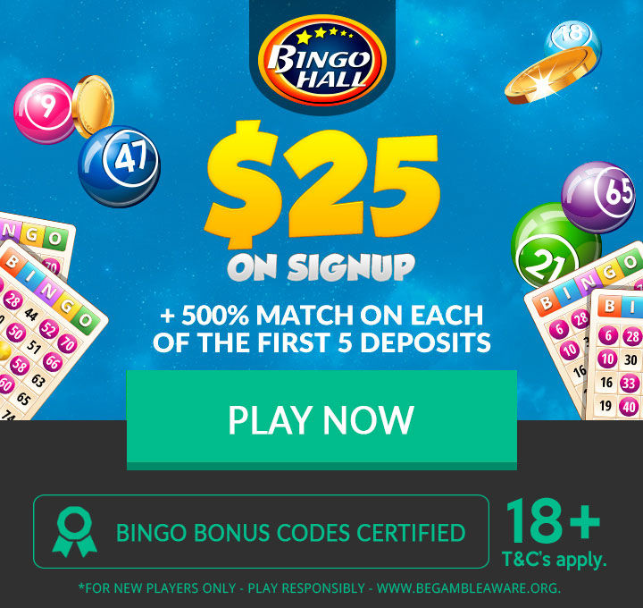 bingo bonus codes no deposit 2017